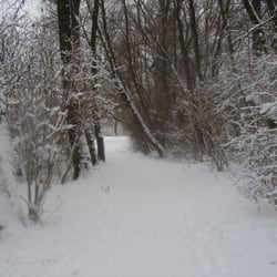 natuurgebied de Esch