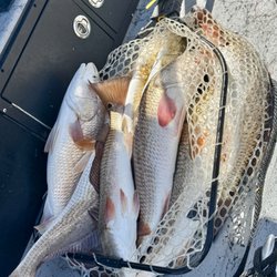 Blast To Cast - A successful fish haul on a private bay fishing trip with Blast to Cast Fishing Guide Service