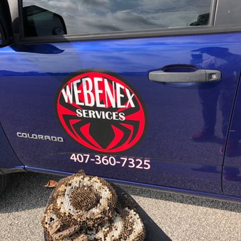 Webenex Services - Pest Control Near Me - Clermont, Florida