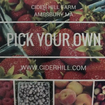 Cider Hill Farm - Pick Your Own Farms Near Me - Amesbury, Massachusetts Cider Hill Farm - Pick Your Own Farms Near Me - Amesbury, Massachusetts