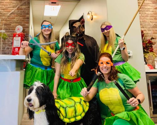 COURTNY TYLER - STATE FARM INSURANCE AGENT - Updated May 2025 - 66