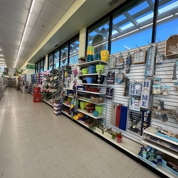 Dollar Tree - Very tidy and organized, and the aisles are nice and big. - Discount Store Near Me - Chandler, Arizona