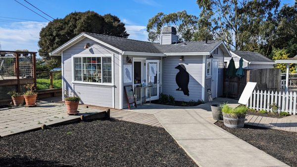 The Birds Cafe by null