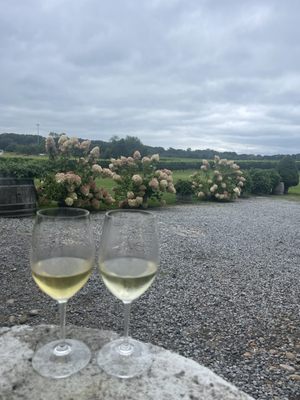 Ev&Em Vineyards by null