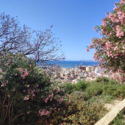 Parque de La Ereta