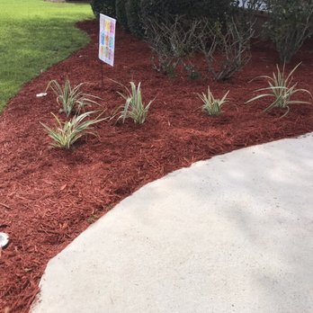 Quality Outdoors - Flax Lillies - Landscape Architects or Designers Near Me Quality Outdoors - Flax Lillies - Landscape Architects or Designers Near Me