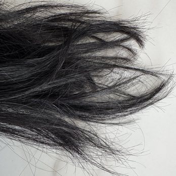 Great Clips - Each strand was manually trimmed without clippers. Highly recommend - Hair Salons Near Me - Raleigh, North Carolina Great Clips - Each strand was manually trimmed without clippers. Highly recommend - Hair Salons Near Me - Raleigh, North Carolina