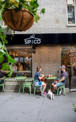 Sip and Co by null