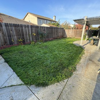Advanced Pavers & Landscape - Before picture of back yard. - Masonry/Concrete Near Me - Sacramento , California