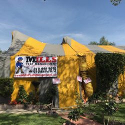 Mills Pest Management - Tent fumigation for drywood termites.
