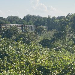 Twin Lakes Park - Walkway