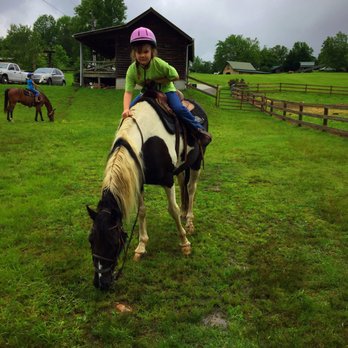 Trackrock Stables - Happy Camper - Horseback Riding Near Me - Blairsville, Georgia Trackrock Stables - Happy Camper - Horseback Riding Near Me - Blairsville, Georgia
