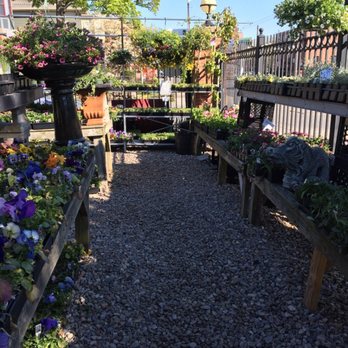 Pemberton Farms - Nurseries & Gardening Near Me - Cambridge, Massachusetts