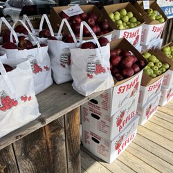 Poor Farmer's Market - Apples Apples Apples