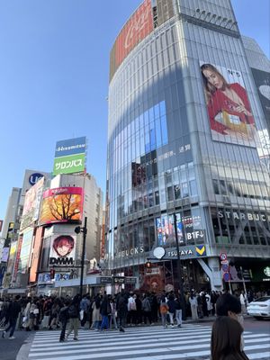 Shibuya Crossing by null