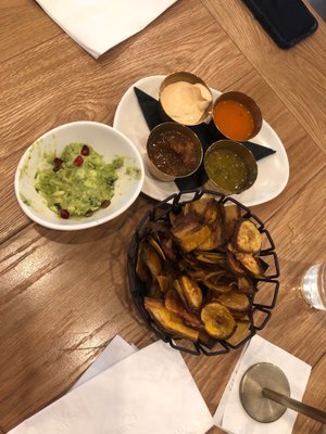 Tocaya Modern Mexican by null