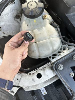 Einstein's Auto Repair