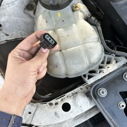Einstein's Auto Repair