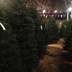 Oliver Holt And Sons Christmas trees - More beautiful trees