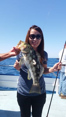 Davey's Locker Whale Watching & Sportfishing by null