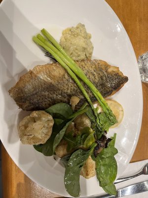 Awfully Chocolate by null