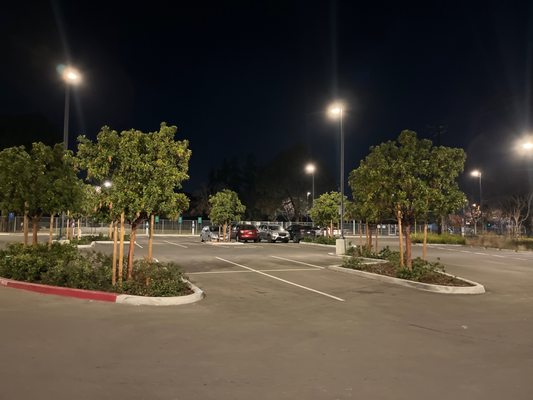 Reed Street Dog Park by null