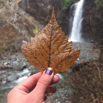 Franklin Falls Trailhead - I love fall! - Hiking Near Me - North Bend, Washington