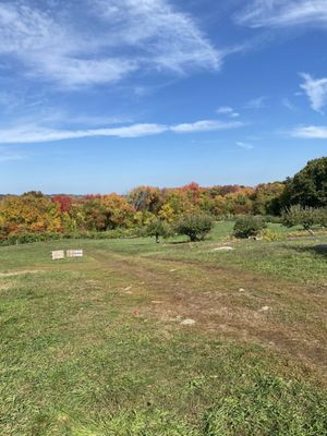 Brooksby Farm by null