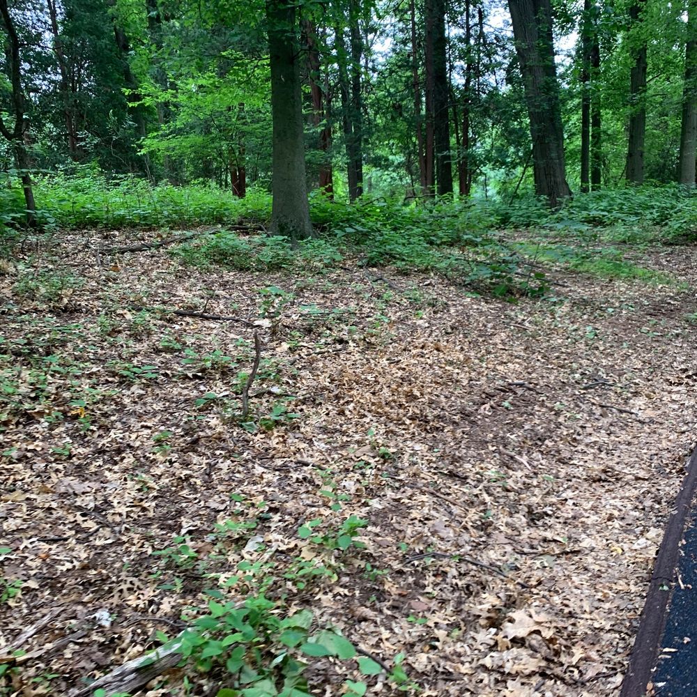 Conant Park - Parks Near Me - Hillside, New Jersey