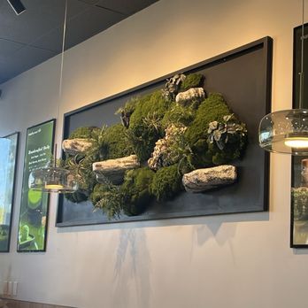 Matcha Mori - Decorative wall art - Desserts Near Me - Mountain View, California Matcha Mori - Decorative wall art - Desserts Near Me - Mountain View, California