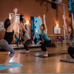 Limber Tree Yoga Studio