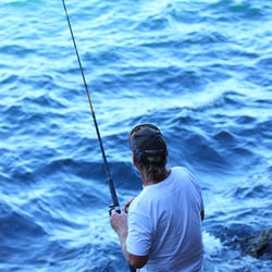 Fisherman, Lady Gowrie Lookout