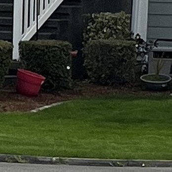 Alternative Landscaping - the front of a house - Lawn Services Near Me