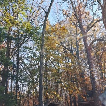 Swift Tree Service - Tree Services Near Me Swift Tree Service - Tree Services Near Me
