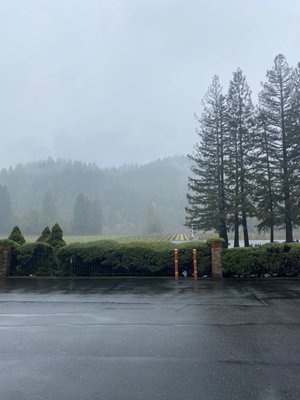 Russian River Getaways by null