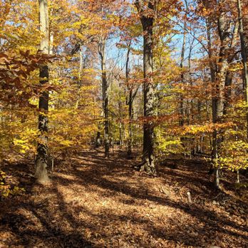 Eagle Rock Reservation - Parks Near Me - West Orange, New Jersey