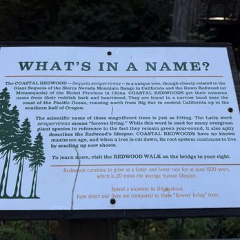 Sonoma Zipline Adventures - Info - Tours Near Me - Occidental, California Sonoma Zipline Adventures - Info - Tours Near Me - Occidental, California