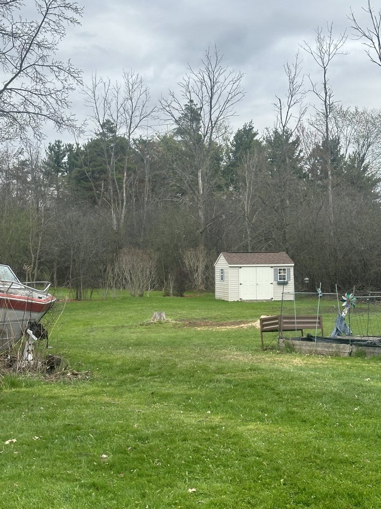 Tree Wranglers - tree service in Buffalo, NY