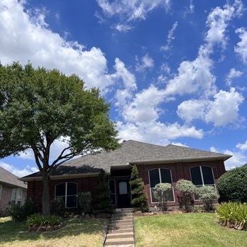Jose‘s Tree Services - Profesional tree trimming and removal - Tree Services Near Me Jose‘s Tree Services - Profesional tree trimming and removal - Tree Services Near Me