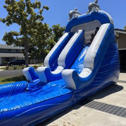 Dolphin Water Slide Dolphin Water Slide
