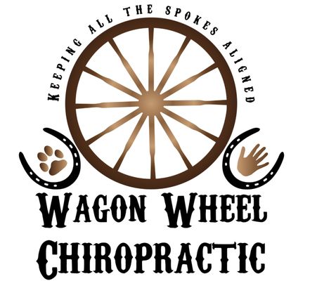 Wagon Wheel Chiropractic