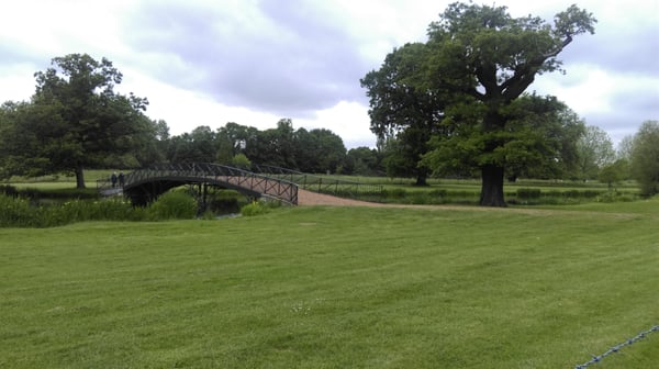 Syon Park by null