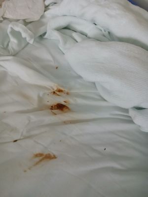 Harris Health Ben Taub Hospital by null