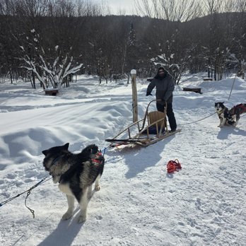 La Meute Nocturne - Sledding Near Me - Lac-Beauport, Quebec