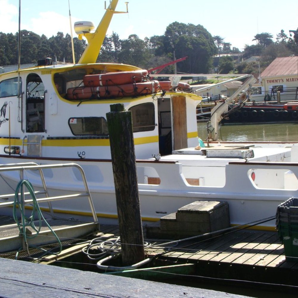 All Aboard Adventures - Fishing Near Me - Fort Bragg, California All Aboard Adventures - Fishing Near Me - Fort Bragg, California