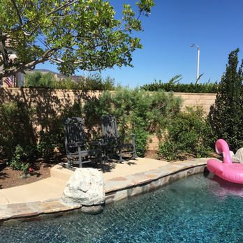 Moon Valley Nurseries - Plants & Bay Leaf Tree - Tree Services Near Me - Chino, California Moon Valley Nurseries - Plants & Bay Leaf Tree - Tree Services Near Me - Chino, California