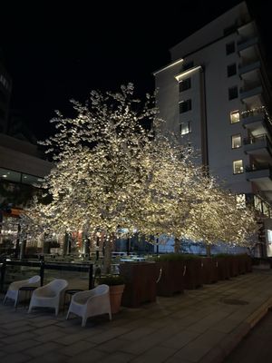 Courtyard by Marriott Stockholm Kungsholmen by null