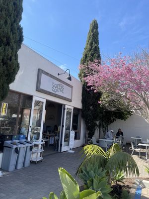 Coffee Coffee by null