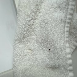 Quality Inn & Suites Airport North - Crusty booger