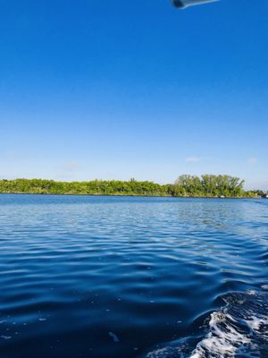 Four Mile Cove Ecological Preserve by null